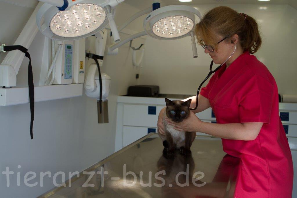 Mobile Tierarztpraxis Titz